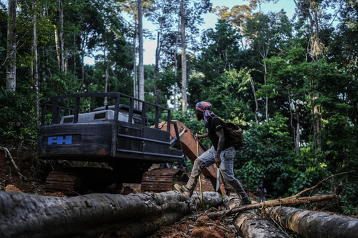 Suriname’s Saamaka tribe turns to mapping and documenting in effort to protect the Amazon rainforest