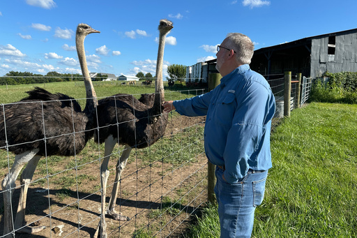 A Kentucky man with a meat allergy was craving a burger. So he got into ostrich farming