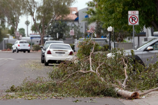 Hail the size of golf balls pummels parts of Arizona as rare storm moves through the West