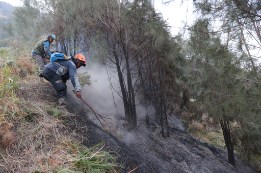 Singapore expands crackdown on Indonesian companies linked to haze