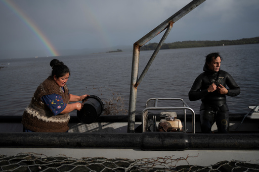 In southern Chile, locals push to protect oceans that have been hurt by intensive salmon farming