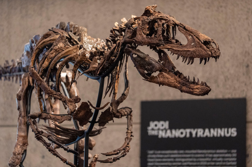 A dinosaur fossil that looks like a mini T. rex just sold for a giant $47 million